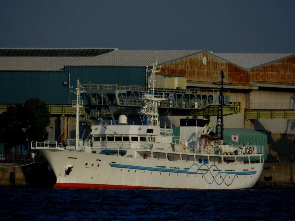 Front view of Training vessel Kaiyu-maru which Fukuoka and Yamaguchi and Nagasaki navigate jointly in port of Tokyo,Japan 20170430