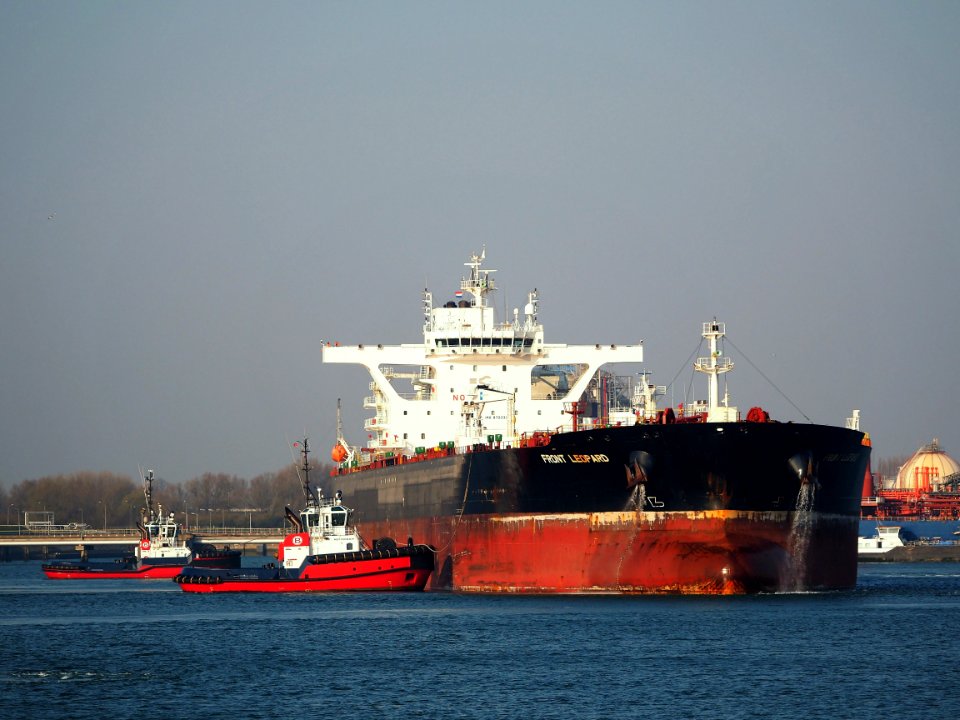 Front Leopard (ship, 2016) IMO 9703320, Calandkanaal pic13