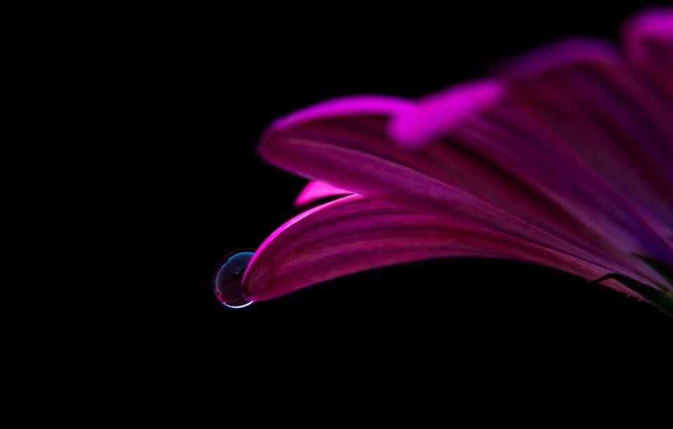 Drop water drop water