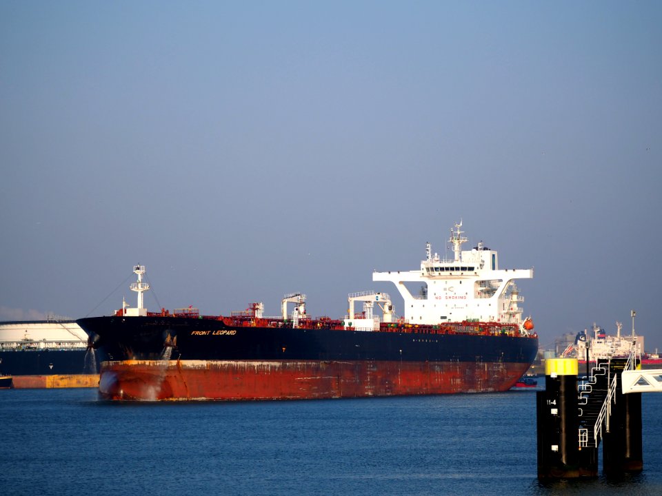 Front Leopard (ship, 2016) IMO 9703320, Calandkanaal pic1