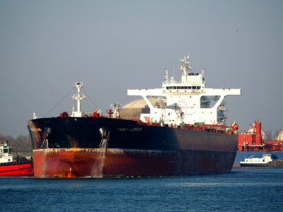 Front Leopard (ship, 2016) IMO 9703320, Calandkanaal pic8