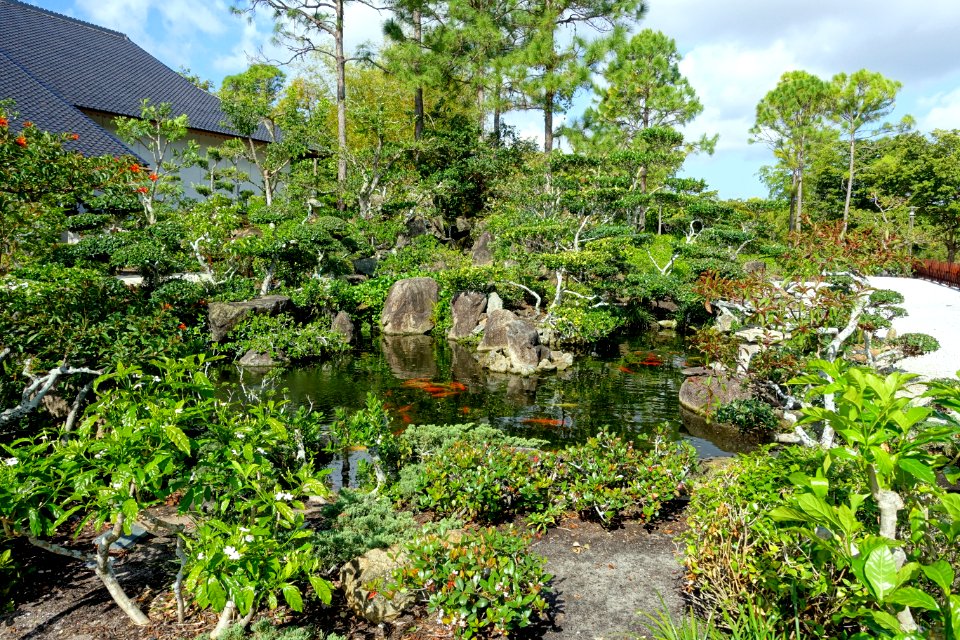 Front garden - Morikami Museum and Japanese Gardens - Palm Beach County, Florida - DSC03282