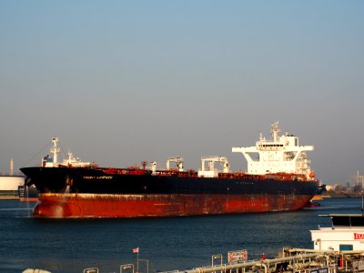 Front Leopard (ship, 2016) IMO 9703320, Calandkanaal pic2