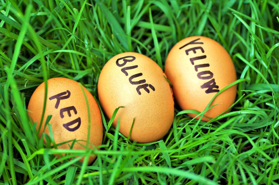 Joke color eggs easter time
