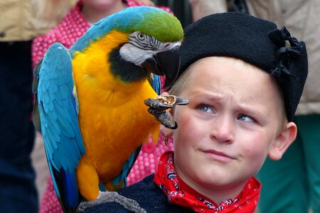 Boy parrot costume