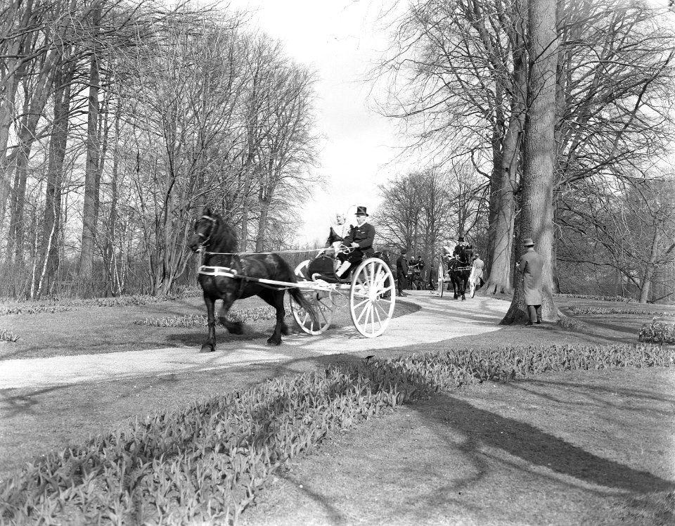 Friese streekdag Keukenhof ringrijden met spiezen, Bestanddeelnr 907-0702