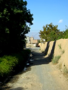 Garden Way - Wall - trees - streamlet - 17 Shahrivar st - Nishapur 30