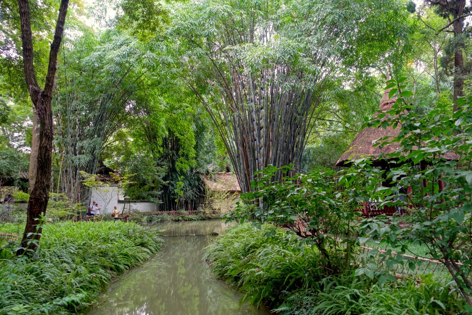 Gardens - Du Fu Thatched Cottage - Chengdu, Sichuan, China - DSC04945