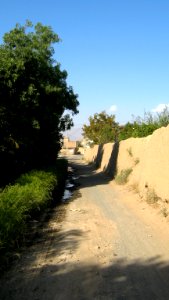 Garden Way - Wall - trees - streamlet - 17 Shahrivar st - Nishapur 25