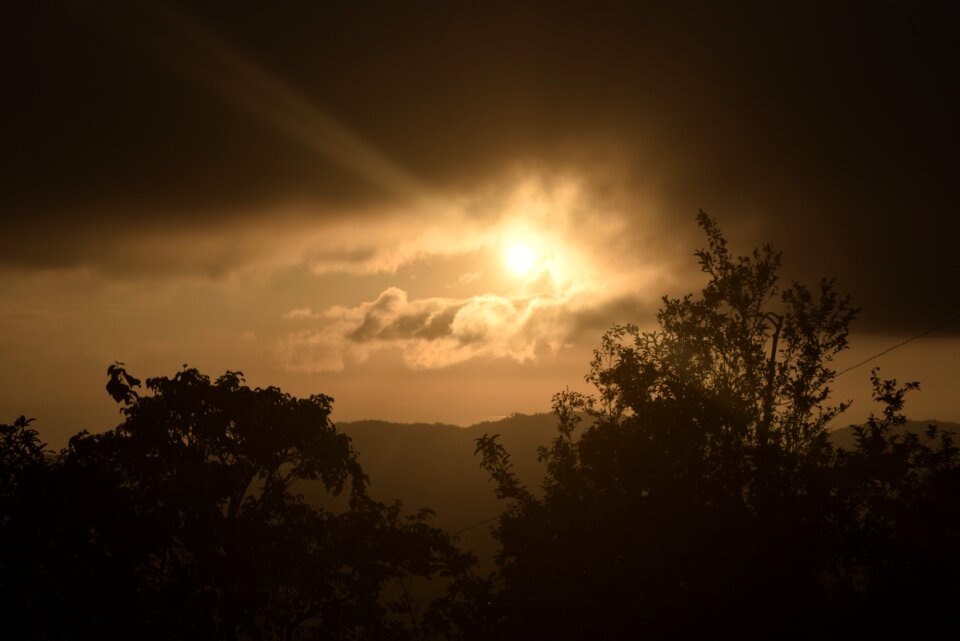 Landscape trees clouds photo