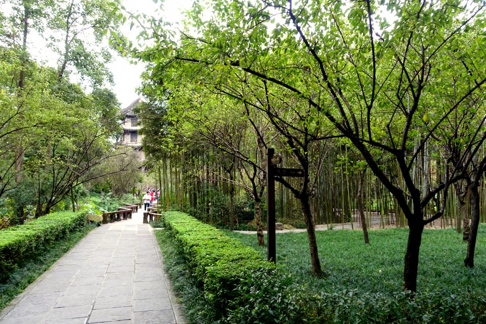 Gardens - Du Fu Thatched Cottage - Chengdu, Sichuan, China - DSC04972