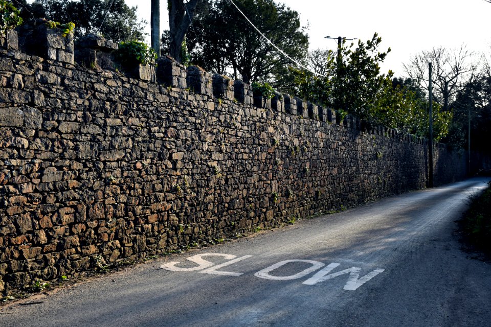 Garden Wall Along Road Boundary Between Courtlands Lane And Courtlands House