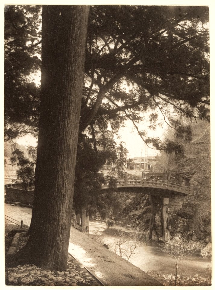Garden Tree and Bridge Shinkyo in Nikko by Adolf de Meyer 1900-1910