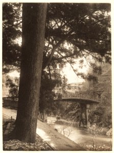 Garden Tree and Bridge Shinkyo in Nikko by Adolf de Meyer 1900-1910