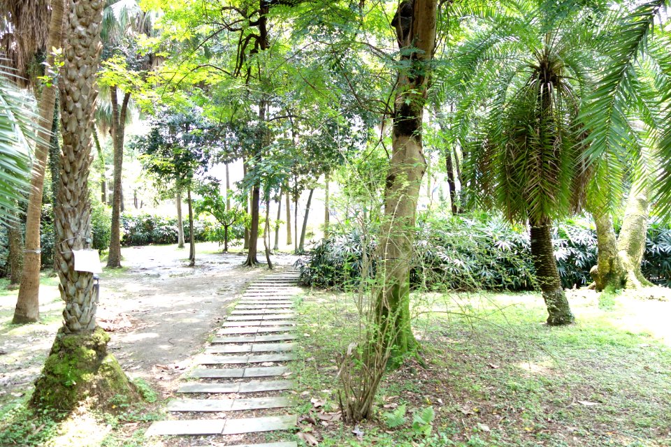 Garden view - Fu Si-nian Memorial Garden - National Taiwan University - DSC01169