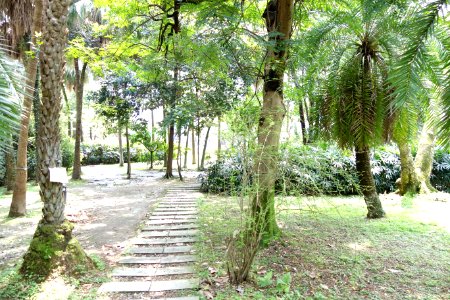Garden view - Fu Si-nian Memorial Garden - National Taiwan University - DSC01169