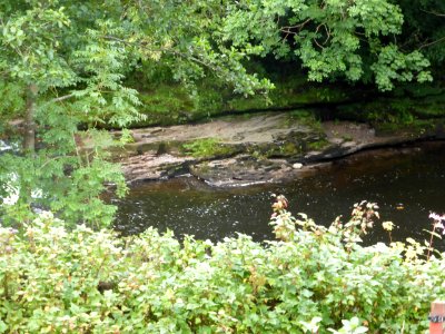 Garden-near-river-near-Glengoyne-Distillery-2