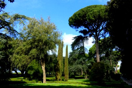 Garden view - Barberini Gardens - Castel Gandolfo - DSC04317