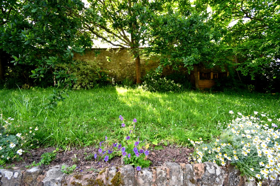 Garden Wall At The Barn