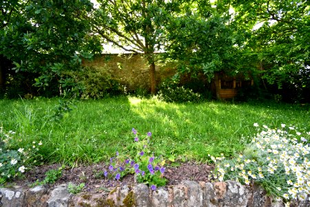 Garden Wall At The Barn