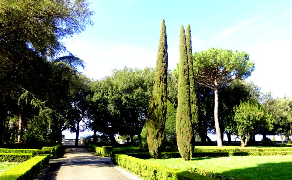 Garden view - Barberini Gardens - Castel Gandolfo - DSC04310