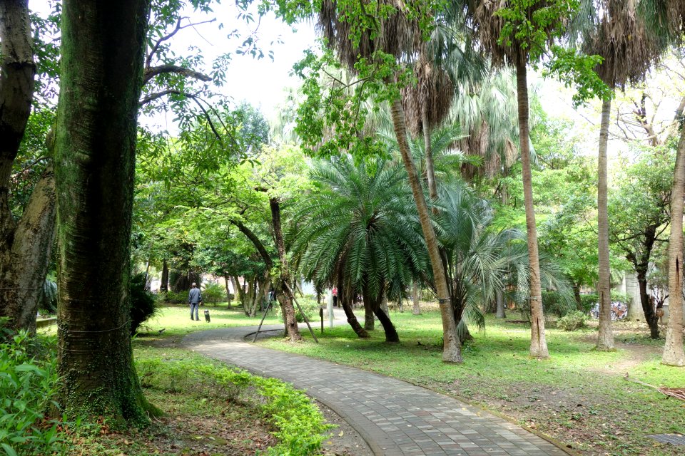 Garden view - Fu Si-nian Memorial Garden - National Taiwan University - DSC01197
