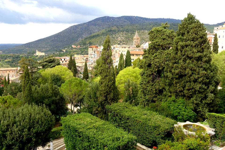 Garden vista - Villa d'Este - Tivoli, Italy - DSC04124