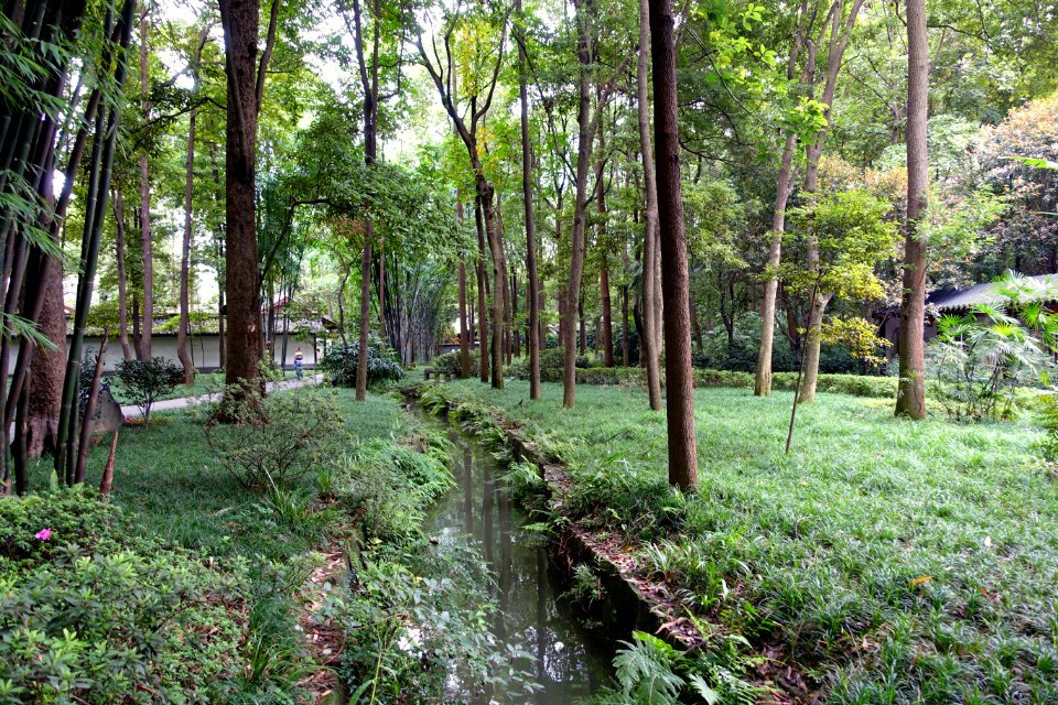 Gardens - Du Fu Thatched Cottage - Chengdu, Sichuan, China - DSC04893