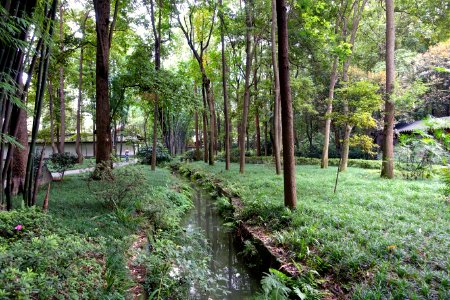 Gardens - Du Fu Thatched Cottage - Chengdu, Sichuan, China - DSC04893