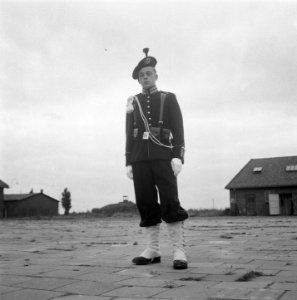 Gardetroepen in gala-uniformen. 1 Jager, Bestanddeelnr 902-9911