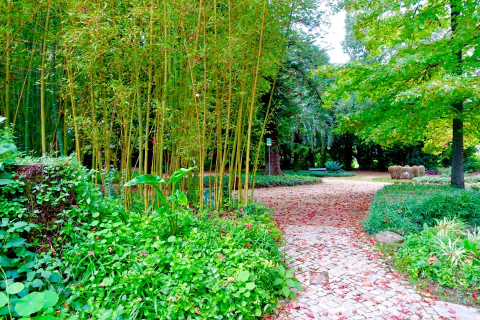 Garden view - Quinta das Lágrimas - Coimbra, Portugal - DSC08657