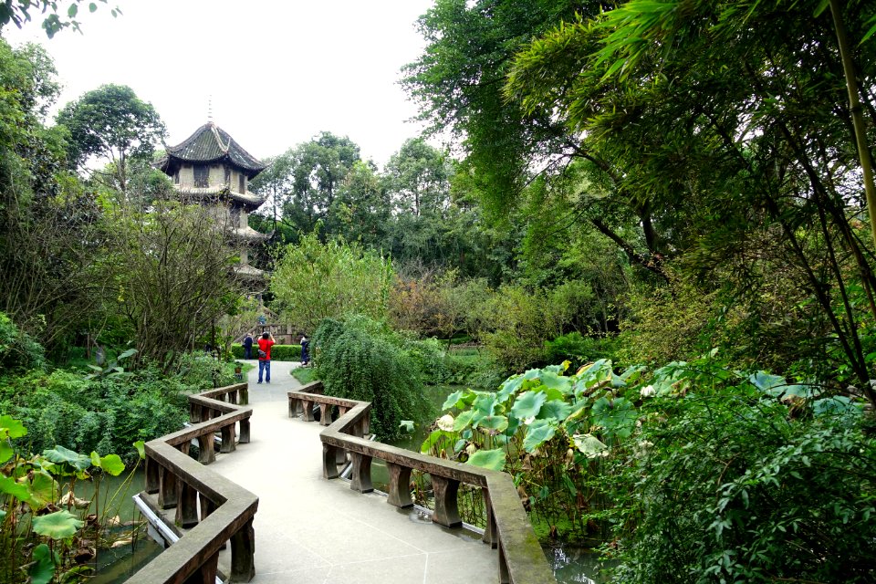 Gardens - Du Fu Thatched Cottage - Chengdu, Sichuan, China - DSC04975