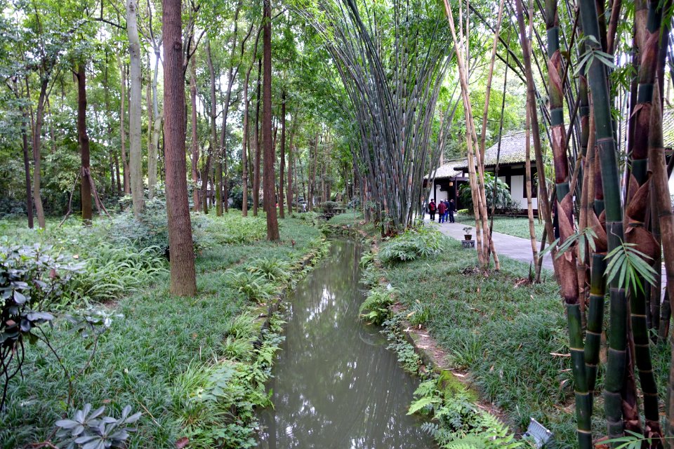 Gardens - Du Fu Thatched Cottage - Chengdu, Sichuan, China - DSC04885