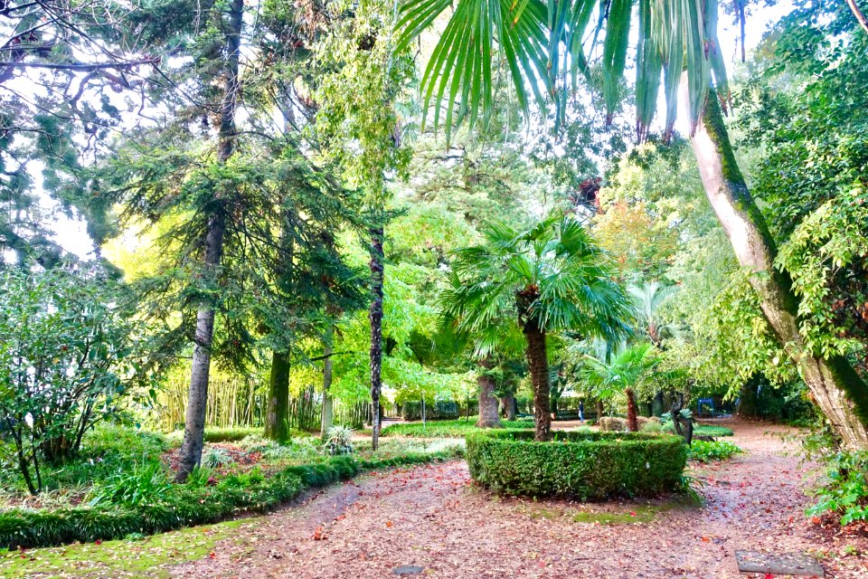 Garden view - Quinta das Lágrimas - Coimbra, Portugal - DSC09535