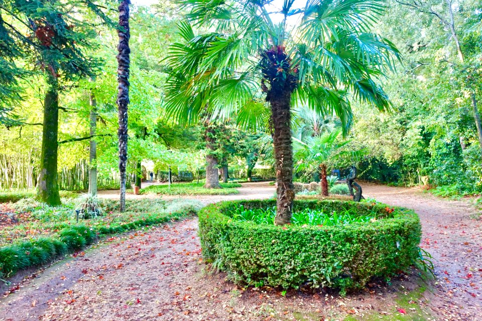 Garden view - Quinta das Lágrimas - Coimbra, Portugal - DSC09539