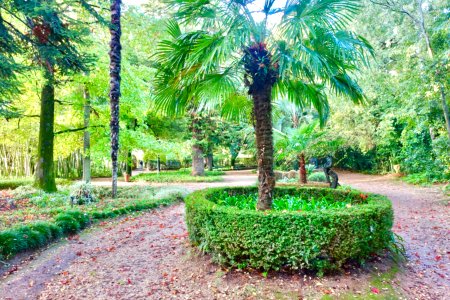 Garden view - Quinta das Lágrimas - Coimbra, Portugal - DSC09539