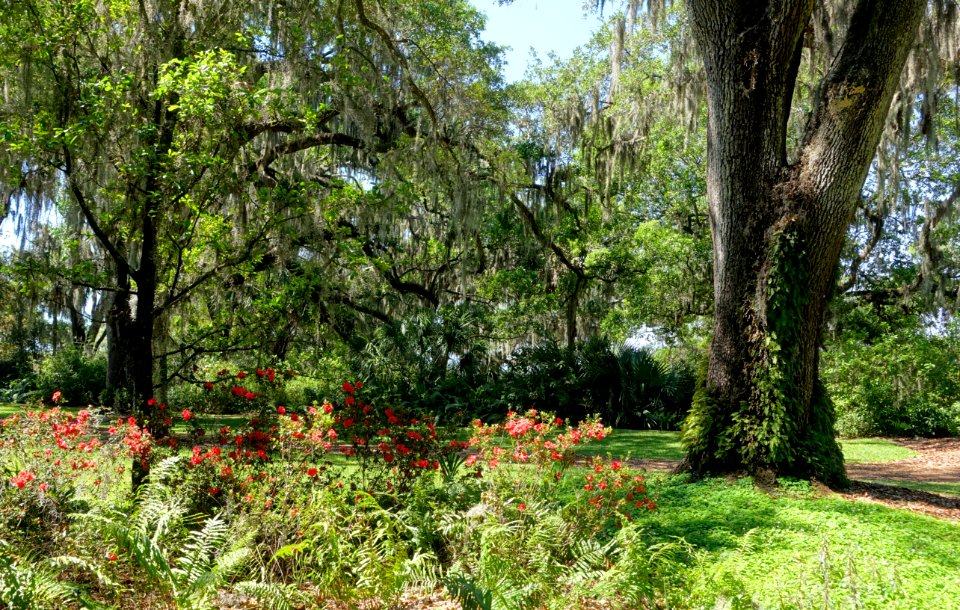 Garden view - Bok Tower Gardens - DSC02248