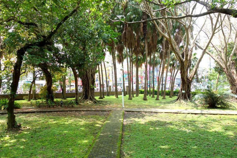 Garden view - Fu Si-nian Memorial Garden - National Taiwan University - DSC01177