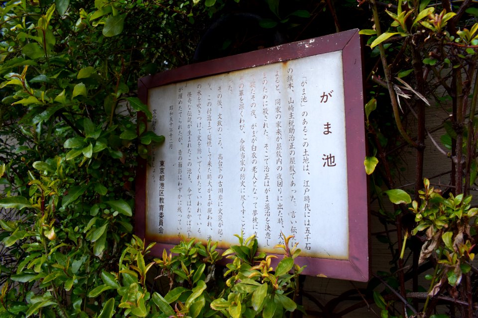 Gama Ike plaque. The pond is actually on the other side of the street