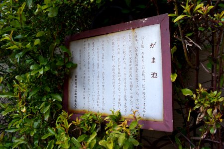 Gama Ike plaque. The pond is actually on the other side of the street photo