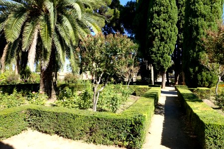Gardens in Generalife - Alhambra, Granada, Spain - DSC07676