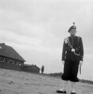 Gardetroepen in gala-uniformen. 1 Jager, Bestanddeelnr 902-9907