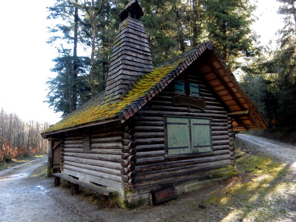 Galmhütte im Galmwald