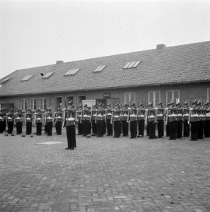Gardetroepen in gala-uniformen. Groep Irene Brigade, Bestanddeelnr 902-9913