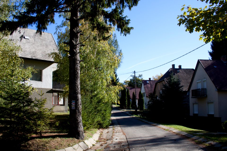 Galyatető, street of holiday houses