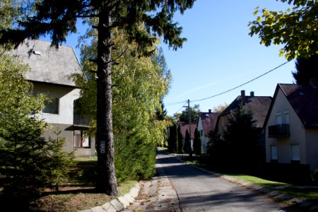Galyatető, street of holiday houses