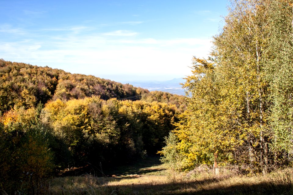 Galyatető, slope towards North