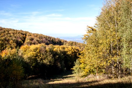 Galyatető, slope towards North