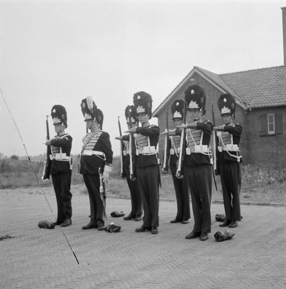 Gardetroepen in gala-uniformen. 8 Grenadiers, Bestanddeelnr 902-9919