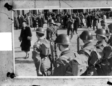 Garderegiment van de Deense koningin Ingrid, Bestanddeelnr 903-2974